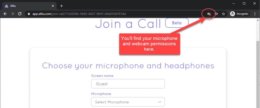 microphone permissions in the browser